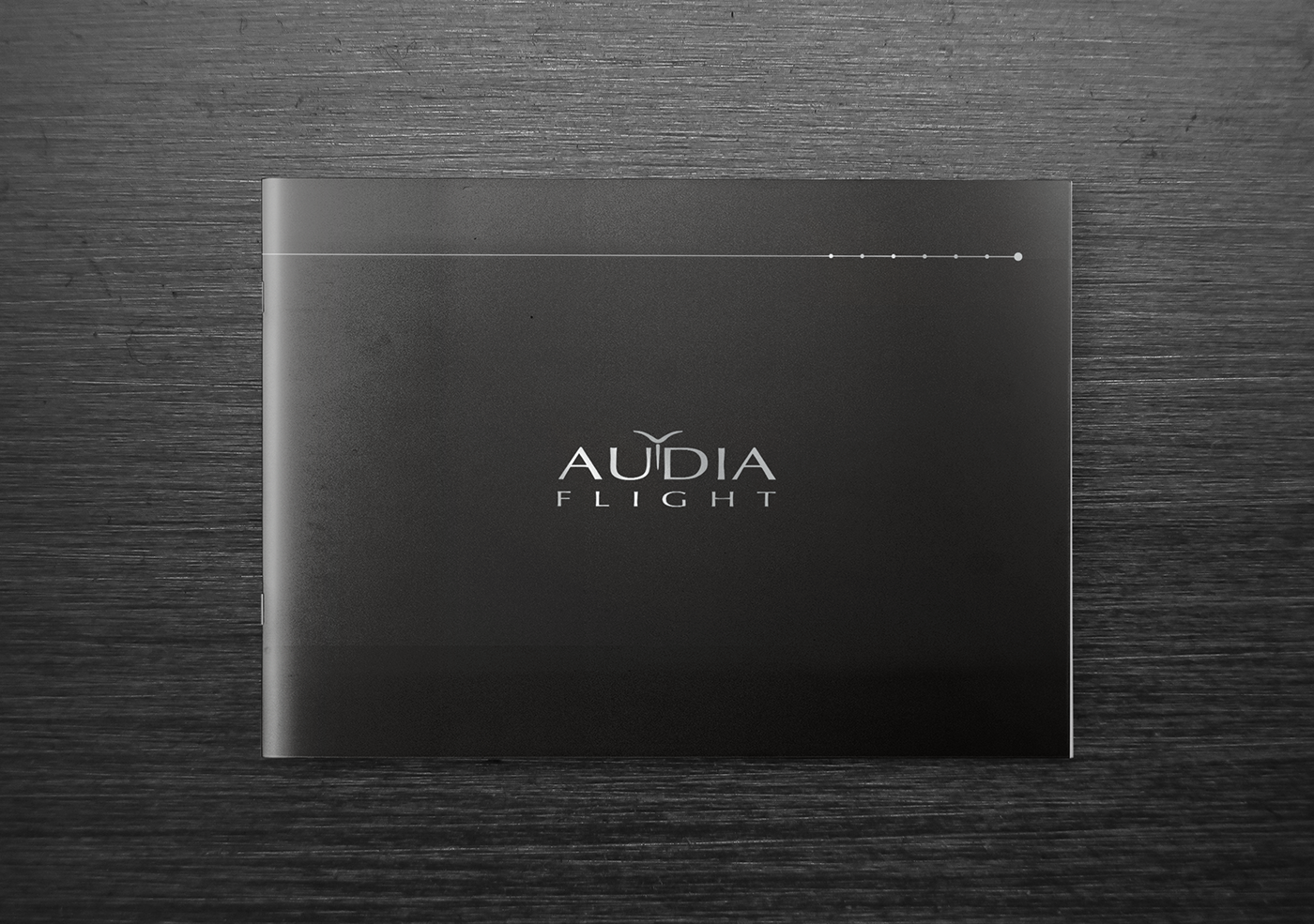 фото cd/sacd проигрыватели AUDIA FLS20