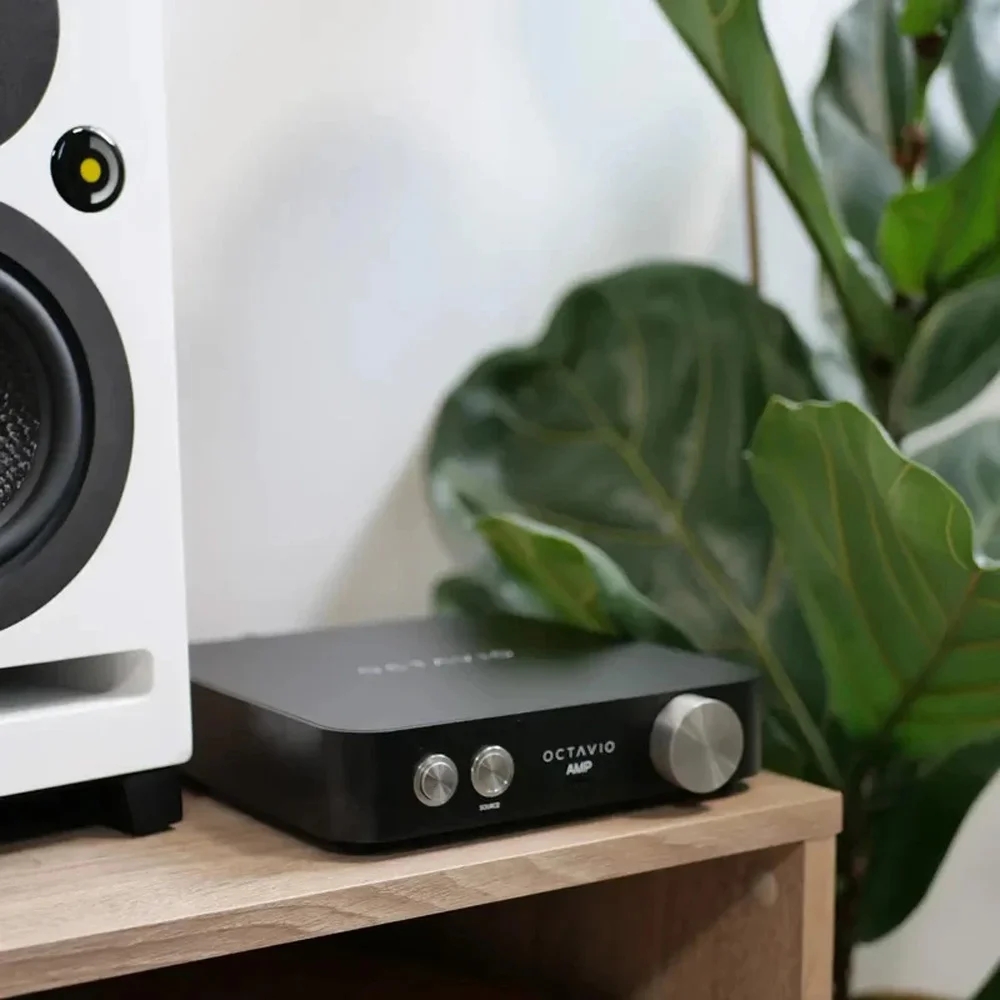 фото интегральные (полные) усилители Davis Acoustics Octavio AMP 100W