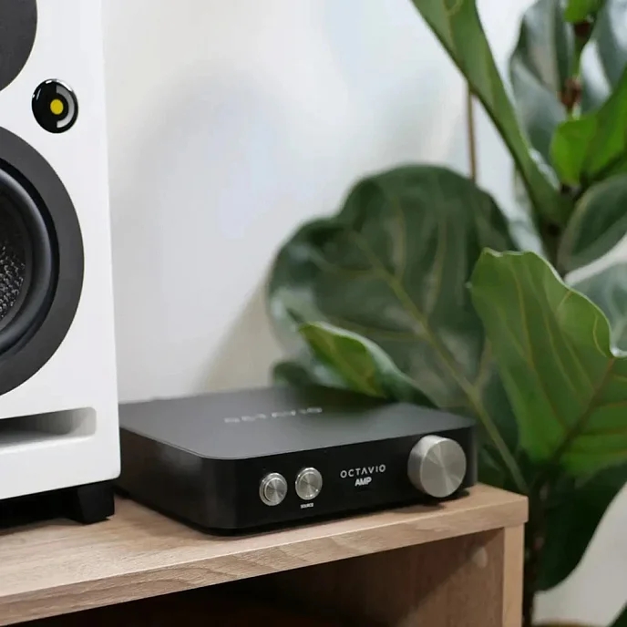фото интегральные (полные) усилители Davis Acoustics Octavio AMP 65W