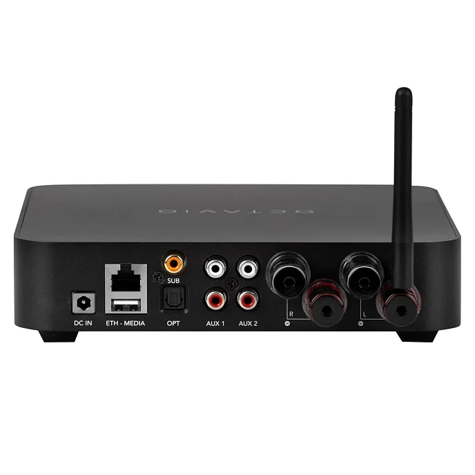 фото интегральные (полные) усилители Davis Acoustics Octavio AMP 65W